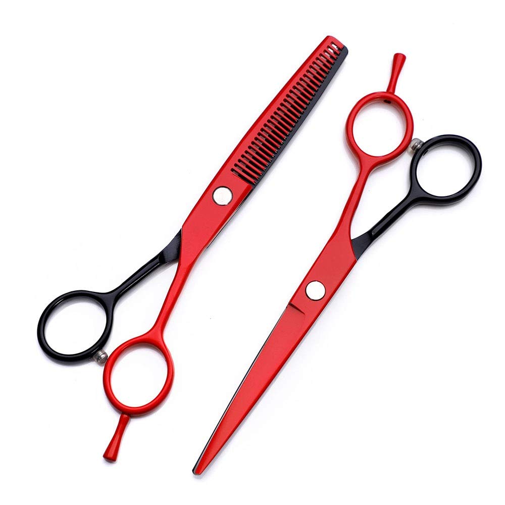 Ciseaux de coiffure de 5,5 pouces pour réussir sa coupe de cheveux à domicile