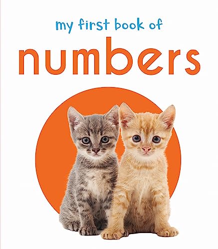 My First Book of Numbers