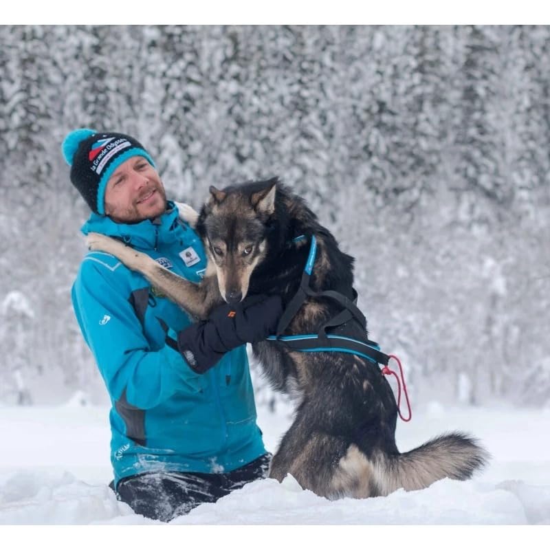 Universal-Hundegeschirr Inlandsis Polar Quest X-Back – Leicht, Ergonomisch und Robust – Canicross, Cani-MTB, Spaziergänge und Wanderungen (Hund 15kg)