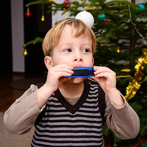 Zhujiehigh-Harmonica-10-Holes-20-Tones-Kids-Harmonica-Beginner-Mouth-Organ-Key-of-C-Music-Gifts-for-Musicians-Kids-Adults-Beginners-Performers-Harmonica-Blue