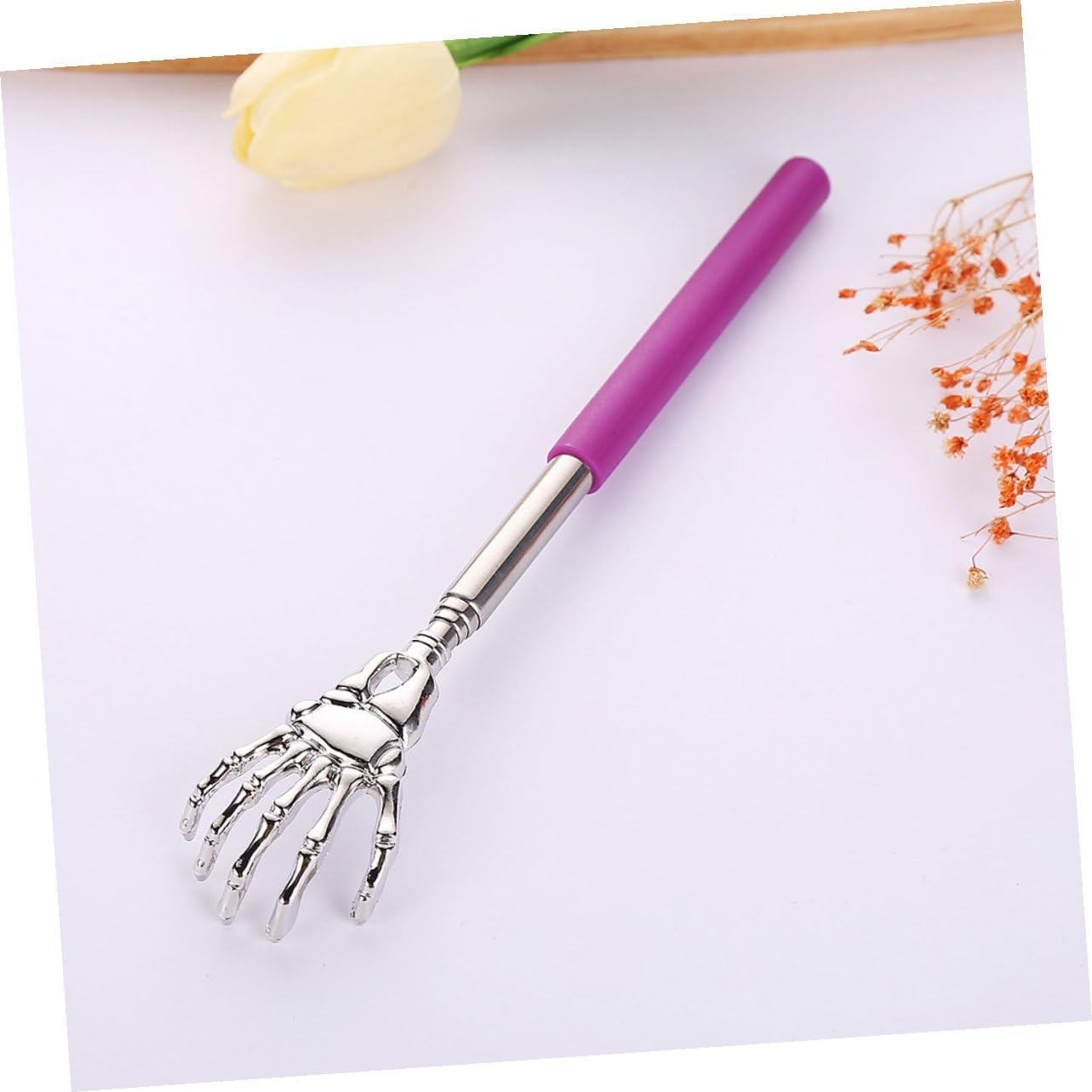 VALICLUD 5Pcs Extendable Back Scratcher Stainless Steel Telescopic Scratchers Portable Itch Relief Tool for Men Women