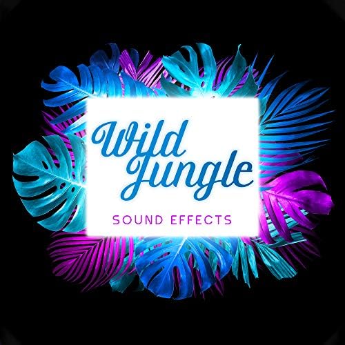 Wild Jungle Sound Effects by Pro Sound Effects Library, Rainforest