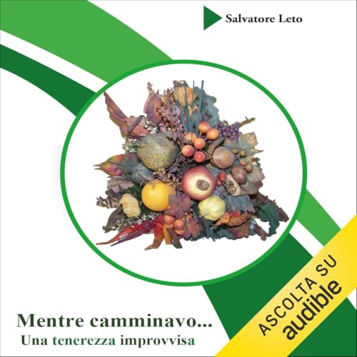 『Mentre camminavo... Una tenerezza improvvisa』のカバーアート