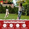 loncoldy Christmas Dog Toys, Funny Squeaky Reindeer Toy with Crinkle Paper Attract Pets, Interactive Plush Chew Toys, Adorable Christmas Elk Dog Gifts for Small Medium Large Dogs #5