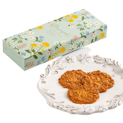 X|[ hJ|D6BN 1 mَq NbL[ Mtg p v[g Ε  zCgf[ o^C Ăَq _˕