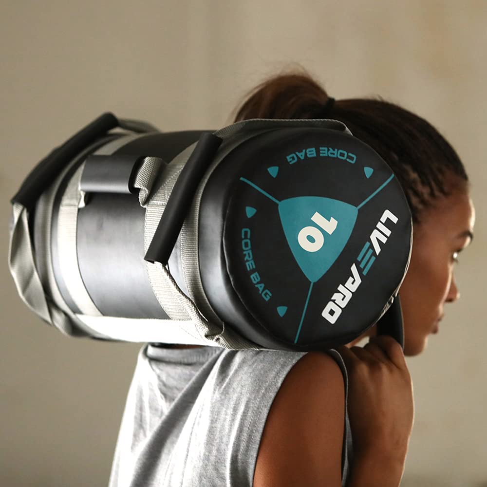 Livepro Power Bag 25kg: Buy Online at Best Price in UAE - Amazon.ae