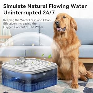 Dog Water Fountain for Large Dogs 303oz9l24gal Automatic Pet Fountain with Replacement Filters Cat Water Dispenser with Smart Led Quiet Pump Inside for Dogs Cats Multiple Pets  Cucciolini Doodles Dog water fountain for large dogs 303oz9l2 4gal automatic pet fountain with replacement filters cat water dispenser with smart led quiet pump inside for dogs cats multiple pets   cucciolini doodles