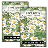 Sow Right Seeds - Feverfew Seed for Planting Perennial Medicinal Herb 2pk