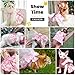 ABRRLO Cute Dog Dress Small Dog Clothes For Girls Female Puppy Outfits Pink Floral Pet Summer Clothes Bowknot Doggy Cat Princess Dress Harness Set for Holiday Birthday Party Costume Clothing (Pink,XS)