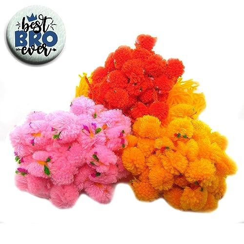 Ascension (Pack of 40) Ram Rakhi Flower Gota Pati Rakhi Pooja Rakhi Pom Pom Rakhi Feather Soft Children Rakhi Sharvan God Rakhi Rakhi Ram Rakhi & Best Brother Fridge Magnet (B0CDS3ZYPQ) Amazon Price History, Amazon Price Tracker