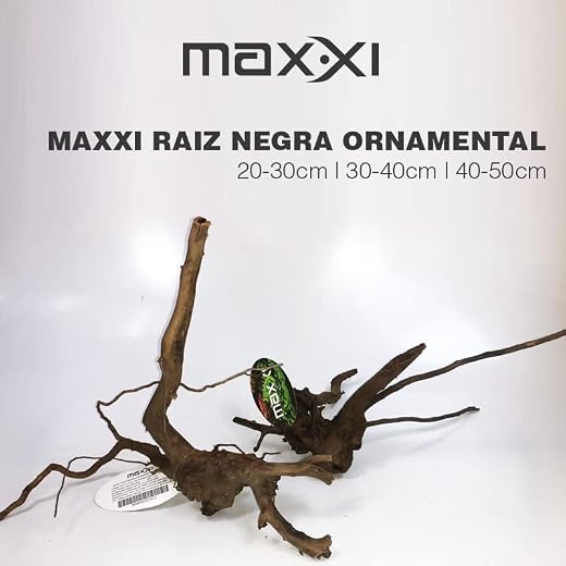MAXXI RAIZ NEGRA ORNAMENTAL 30 a 40CM
