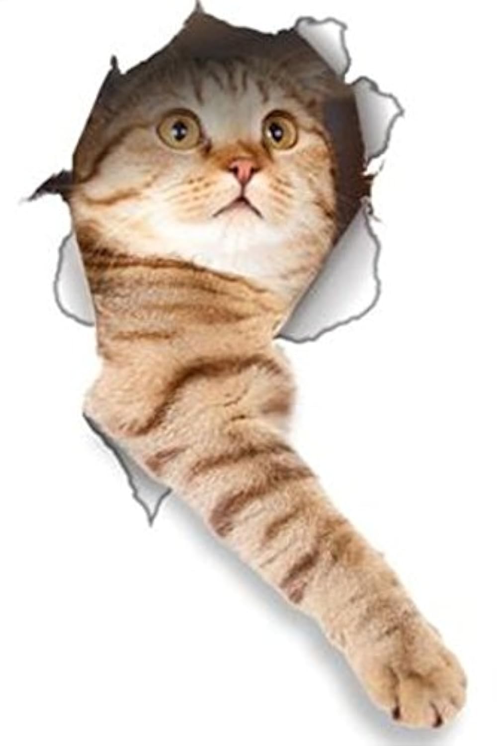 2 Pack - Global Decals 3D Cat Stickers - Reaching Cat Stickers for Wall, Fridge, Toilet and More - Retail Packaged