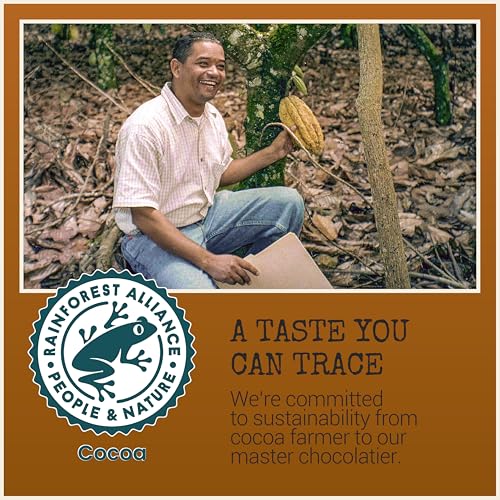 Chocolove Hazelnut Milk Chocolate Bars | 33% Cocoa | Roasted Oregon Hazelnut Bits | Crafted with Silky Smooth Belgian Chocolate | Non GMO, Rainforest Alliance Certified, 3.2oz Bar (12 Pack)