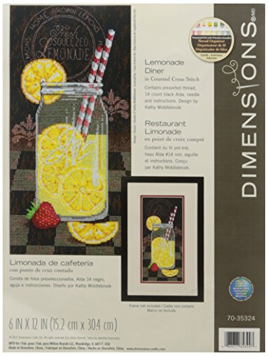Wilton Dimensions Dimensions 14 Count Lemonade Dinner Counted Cross Stitch Kit, 6
