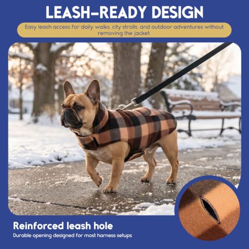 Chaleco para perro reversible e impermeable que aísla del frío 4