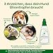 TraumaPet Ohrentropfen für Hunde & Katzen 50 ml | Ohrenreiniger mit kolloidalem Silber | Zur Pflege bei Ohrmilben, Hefepilzen & gereizten Ohren | Unterstützt bei Juckreiz, Rötungen & Geruch