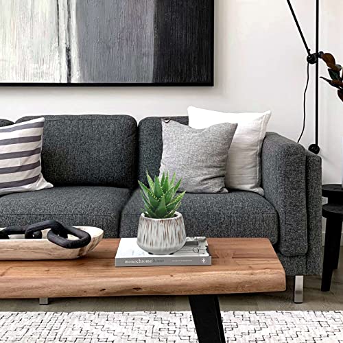 White Ceramic Planters For Indoor Plants 5.3 Inches Pots For Plants Succulent Planters Set Small Flower Pots For Snake Plants, Cactus, Orchid Set Of 2 Plant Containers Garden Pots #TOP3