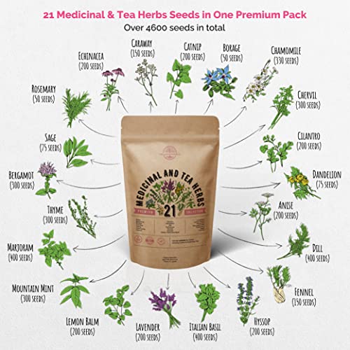 21 Medicinal & Tea Herb Seeds Variety Pack For Planting Indoor & Outdoors. 4600+ Non-Gmo Heirloom Herbal Garden Seeds: Anise, Bergamot, Borage, Cilantro, Chamomile, Dandelion, Rosemary Seeds & More #TOP2