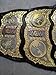 AA Fitness Gear AEW World Championship Title Belt All Elite Wrestling Championship Adult Size AEW Championship Belt