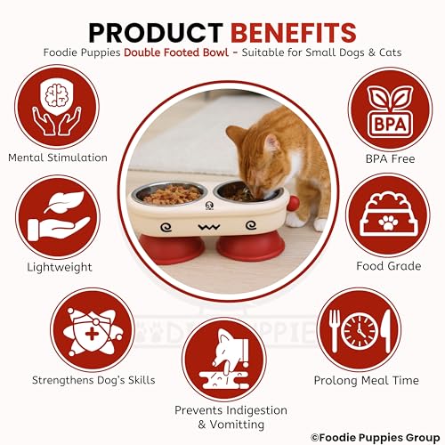 Image of Foodie Puppies Pet Elevated Cat Bowl - (Fun Face Double Bowl) | Detachable Stainless Steel Raised Feeder for Food & Water Feeding | Durable, Anti-Vomiting, Mess-Free Feeder for Cats, Kittens & Puppies
