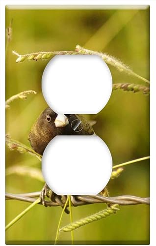 Switch Plate Outlet Cover - Birds Armenia Quindio Nature Colombia 1