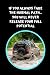 If You Always Take The Normal Path, You Will Never Release Your Full Potential: Off Road Driving Themed Novelty Lined Notebook / Journal To Write In Perfect Gift Item (6 x 9 inches)