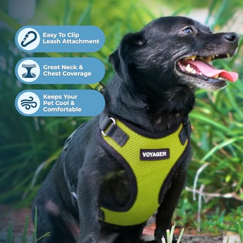 Image of Best Pet Supplies Voyager Step-in Lock Pet Harness w Reflective Pet Leash Combo Set with Neoprene Handle 5ft - Supports Small, Medium and Large Breed Puppies /Cats - Lime Green /Black Trim, S