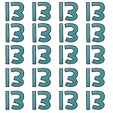 20pcs Temporary Tattoos 13 for Taylor Swift, Waterproof Lucky Number 13 Hand Tattoos Temporary Singer Tattoos 13 Inspired Fans Party Favors for Concert Music Festival