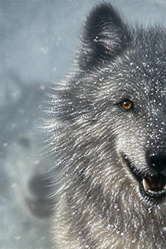 Snow Plow Wolf T Shirt Adult Unisex The Mountain