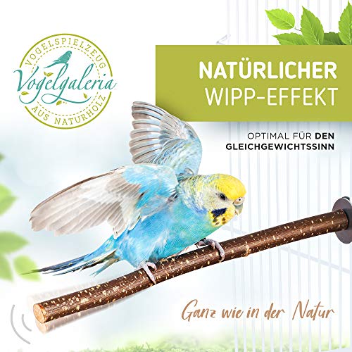 5 prachtige natuurlijke zitstokken voor vogels zoals grasparkiet, valkparkiet, kanarie, dwergpapegaaien, natuurlijke… - Afbeelding 6