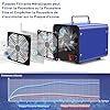 Générateur d'Ozone pour Eau et Air, 45000mg/h Purificateur d'Air à l'Ozone Éliminateur D'Odeurs avec Minuteur pour Salle de Bain, Cuisine, Animaux Domestiques, Voitures, Fumée, Eau, Fruits, Légumes