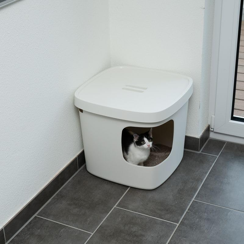 Haubentoilette Devon | Quadratische Katzentoilette | Abnehmbarer Deckel | ideal in Ecken | Maße: L 49,5 x B 49,5 x H 43 cm
