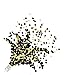 Black and Gold Push Up Confetti Poppers