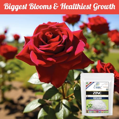 Image of Erwon Zinc Fertilizer, 100% pure, Premium Powerful Fertilizer for Overall Growth of Plants (5 kg)