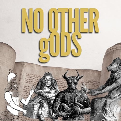 Page de couverture de NO OTHER gODS