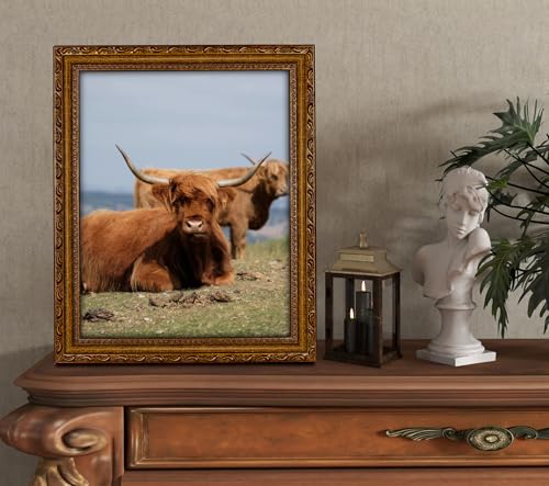 Image of 11x14 Picture Frame Wood Vintage 14x11 Picture Frame Gold | Real Glass, Matted 8x10 or 11 x 14 Photos, Easy Photo Changes, Wall Hanging