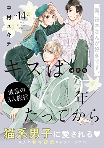 キスは10年たってから 分冊版（14） (パルシィコミックス)