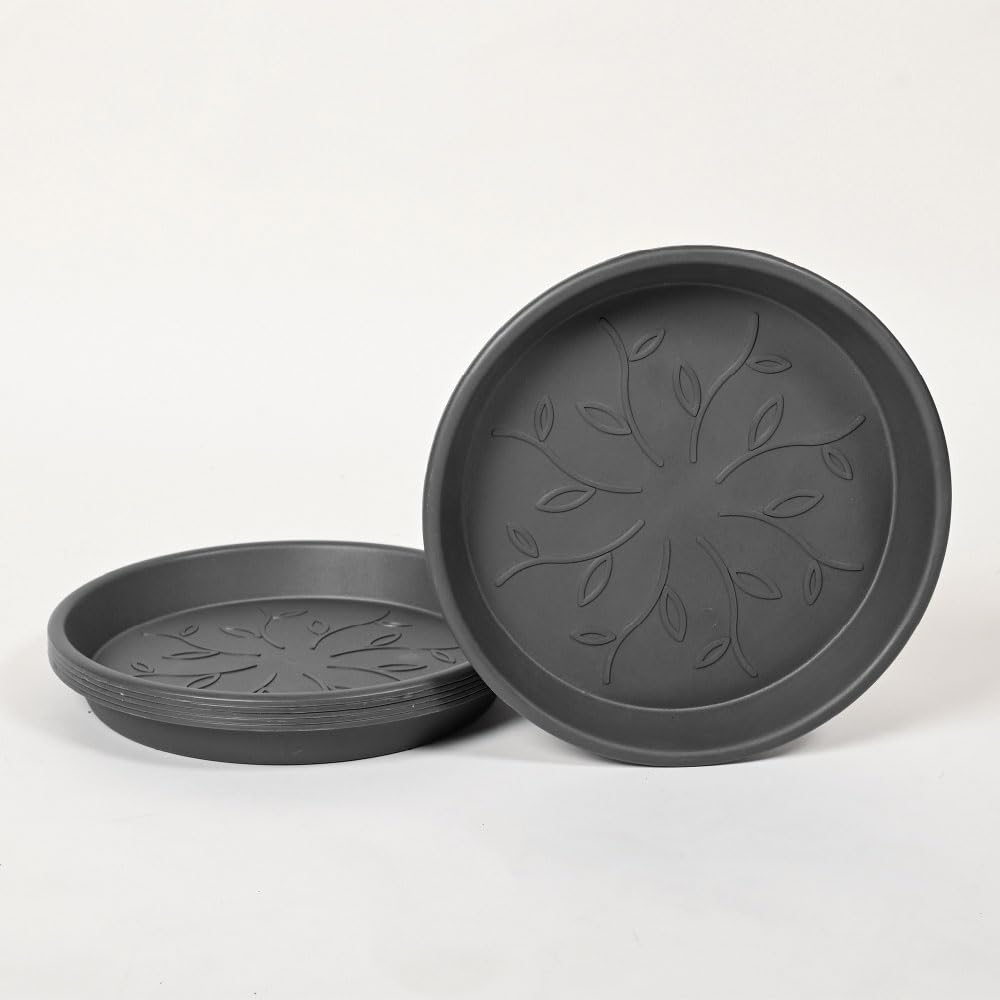 Ugaoo Plant Saucers - Protect Pots & Surfaces -13