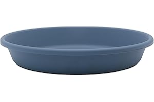 HC Companies 12 Inch Round Plastic Classic Plant Saucer: Shield Your Floors in Style