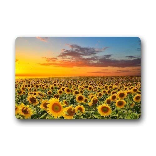 Zerbino Lavabile 40x60 Cm Con Tramonto E Albero, Antiscivolo Per Interni Ed Esterni, Gomma 320g - 4