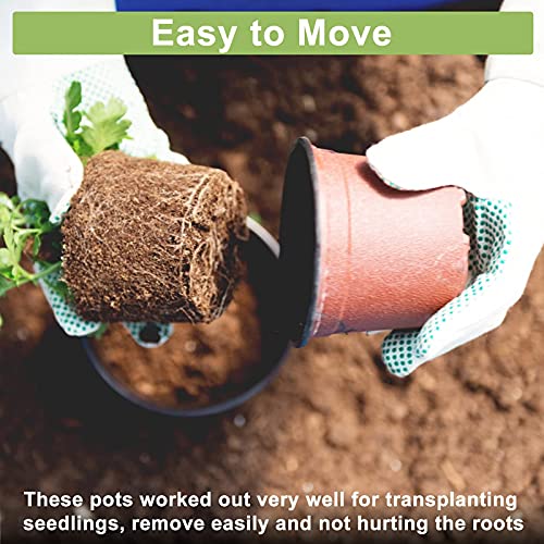 Decorlife 60 Pack Nursery Pots, 6 Inch Reusable Plastic Pots For Seedlings With Drainage Holes #TOP10
