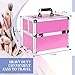 Ver Beauty Makeup Organizer, Cosmetic Travel Kit, Makeup Artist Supplies, 2 Sliding Trays, Lockable Storage Box, Makeup Train Case, Aluminium Case, Lightweight Makeup Vanity (Pink Stripes)