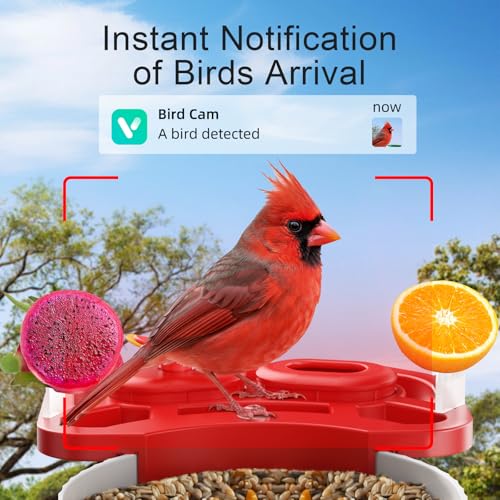Smart Bird Feeder Camera Solar Powered