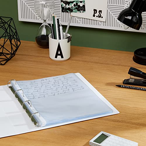 Herlitz 10840098 Prospekthülle A4 genarbt, 100er Packung, oben und seitlich offen (1, A4)