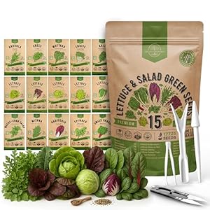 Organo Republic 15 Lettuce & S...