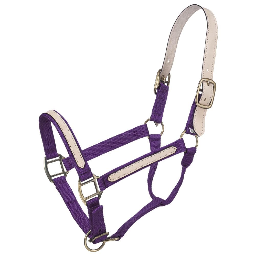 Tough 1 Break-Away Halter, Purple, Horse