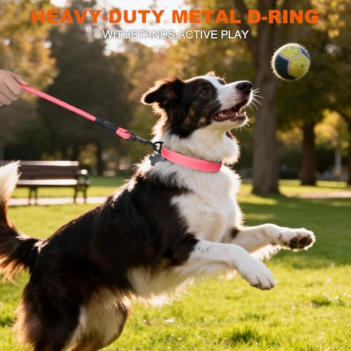 Image of Taglory Reflective Dog Collar for Medium Dogs, Soft and Safe for Daily Walk