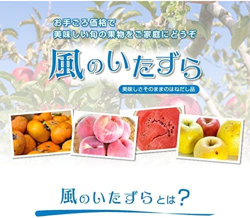 甘平　5kg　5L　青秀　 柑橘類　みかん Amazon.co.jp: みかん 甘平 かんぺい 青秀 5L～Lサイズ □ 5kg 愛媛県