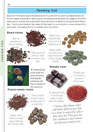 Freshwater Aquariums (CompanionHouse Books) Essential Beginner-Friendly Guide to Setting Up Your Tank, Filtration, Health, Fish, Plants, Substrates, Lighting, and More (Aquamaster) - Image 5