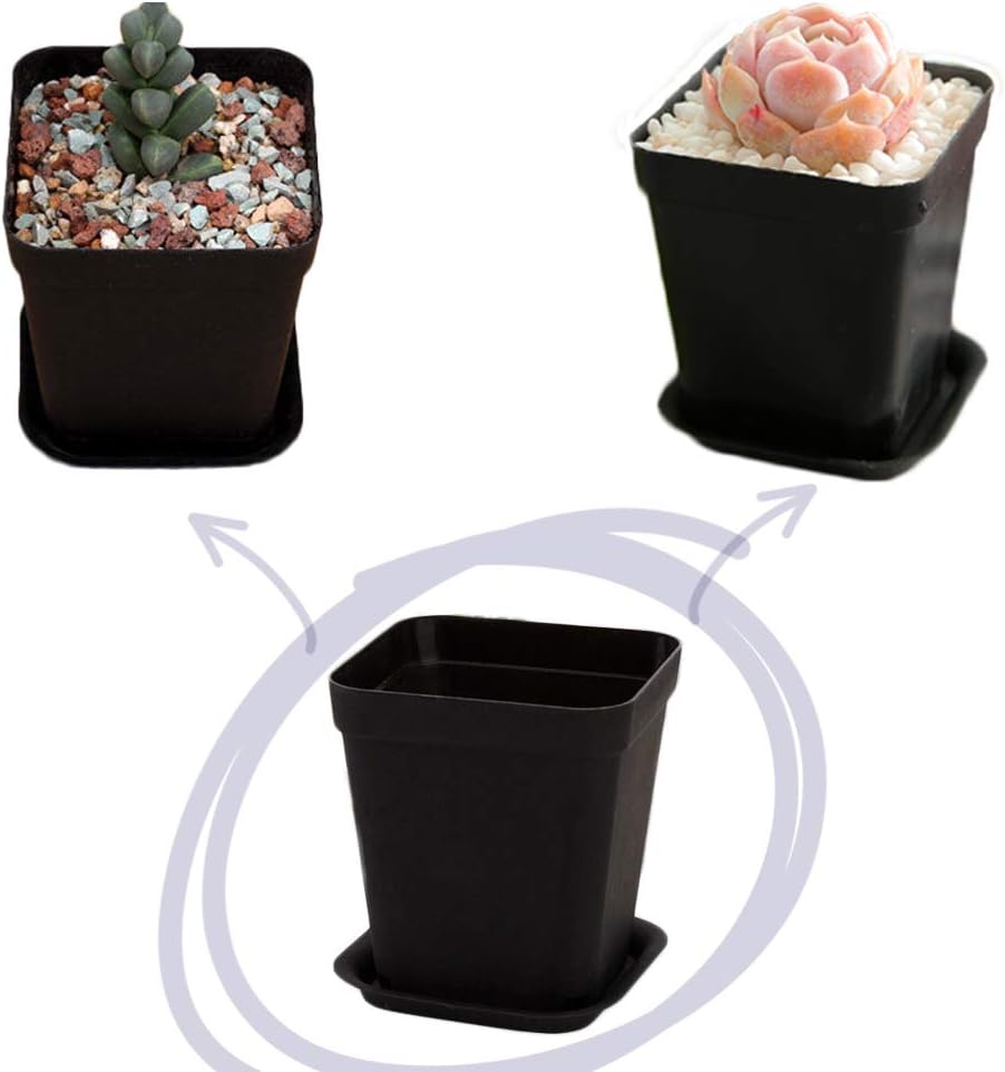 OJYUDD 24 Pack 3 Inch Black Nursery Pot Flower Pots Square Plastic Plant Pot Plastic Starter Pots with Saucer Basket Indoor Outdoor for Your Room,Garden Office and Balcony Decor - Image 6